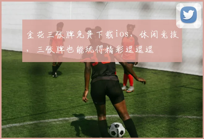 金花三张牌免费下载ios，休闲竞技，三张牌也能玩得精彩逗逗逗