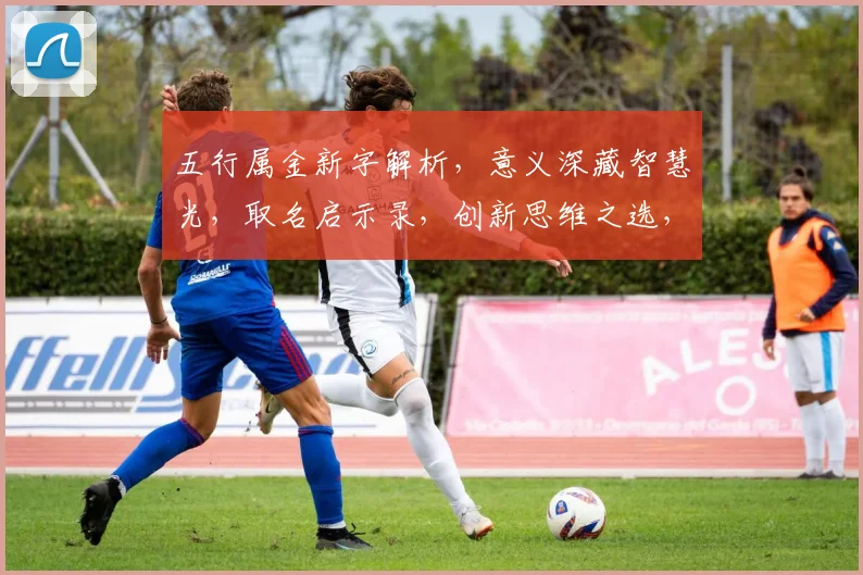 五行属金新字解析，意义深藏智慧光，取名启示录，创新思维之选，寓意非凡。